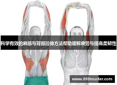 科学有效的肩部与背部拉伸方法帮助缓解疲劳与提高柔韧性