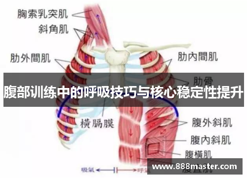 腹部训练中的呼吸技巧与核心稳定性提升